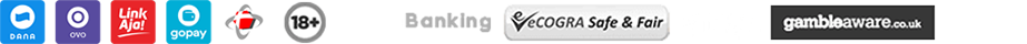 Logo Sponsor
